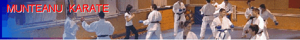 www.munteanu-karate.ro